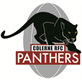 Colerne RFC Panthers