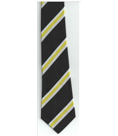 St Bernadette School Tie