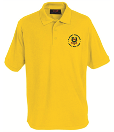St Stephen's Polo 