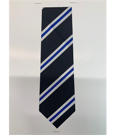 St Bernadette House Tie