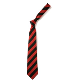 Moredon Elasticated Tie