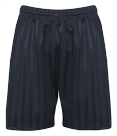 Benson Shadow Stripe Shorts: Waist 30/32