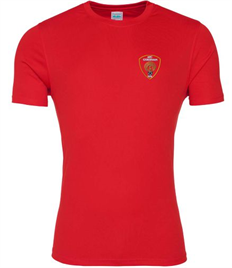 Adult Red Training Shirt